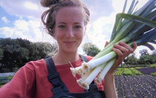 Nienke Boone is de tuinder van Land in Zicht. Ontdek hoe zelf oogsten bij Land in Zicht werkt. Tuinder Nienke vertelt over het plezier, de smaak en de gemeenschap op onze biologische Tuinderij.
