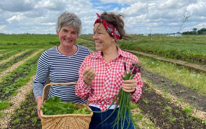 Bij onze Tuinderij zoeken we voortdurend naar nieuwe vrijwilligers die ons team kunnen versterken. Als vrijwilliger heb je de mogelijkheid om actief bij te dragen aan een duurzaam initiatief en om in een groene omgeving nieuwe vaardigheden te ontwikkelen.