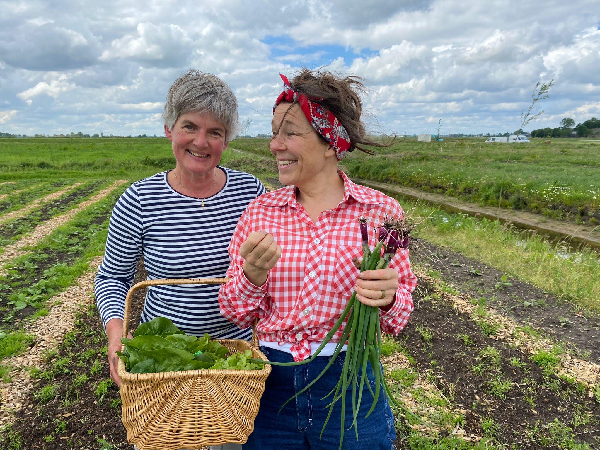 Bij onze Tuinderij zoeken we voortdurend naar nieuwe vrijwilligers die ons team kunnen versterken. Als vrijwilliger heb je de mogelijkheid om actief bij te dragen aan een duurzaam initiatief en om in een groene omgeving nieuwe vaardigheden te ontwikkelen.