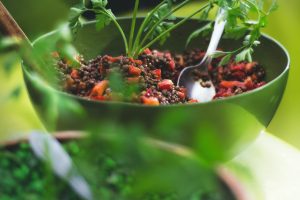 linzen recept