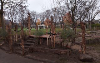 Waarom een groen schoolplein bijdraagt aan spelenderwijs leren Spelen ís leren. Op een plein met boomstammen, water, zand en hoogteverschillen gebeurt dat vanzelf. Kinderen gebruiken hun lijf, fantasie en zintuigen. Dat versterkt hun motoriek, creativiteit en sociale vaardigheden, aldus Jelle Dijkstra van Land in Zicht.