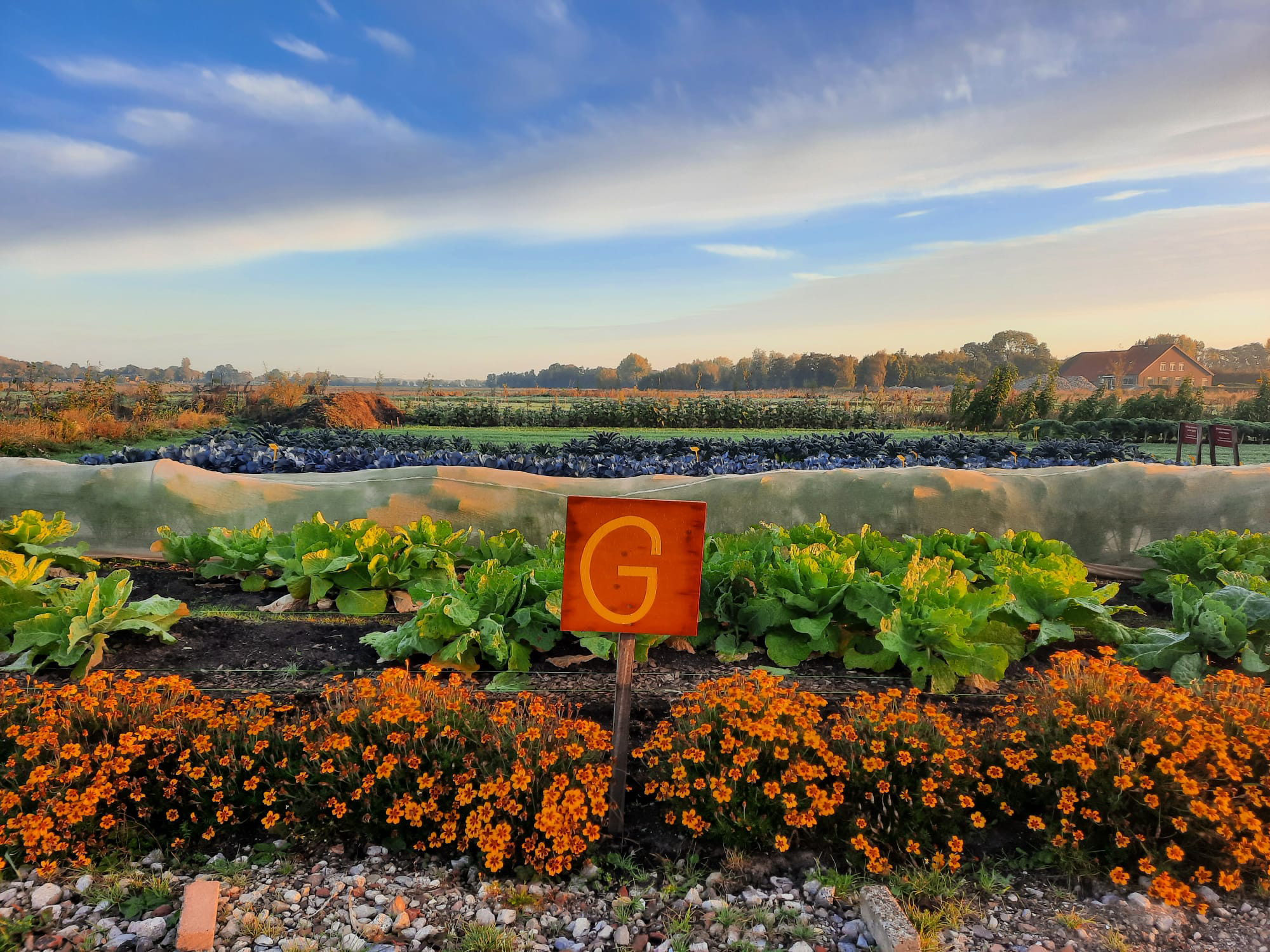 Tuinderij: zelfoogsttuin groente en kruiden en pluktuin bloemen en fruit Tuinderij: zelfoogsttuin groente en kruiden en pluktuin bloemen en fruit