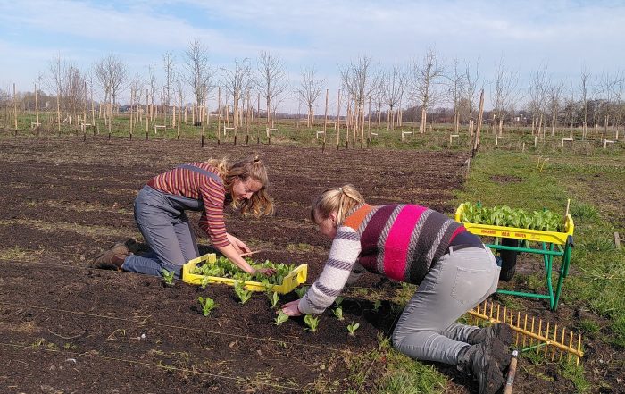 Dagbesteding op de tuinderij