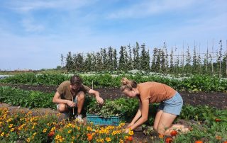 Tuinderij meewerkochtend