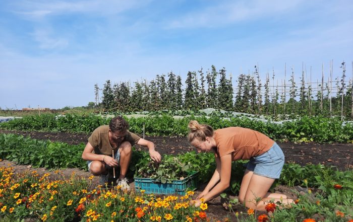 Tuinderij meewerkochtend