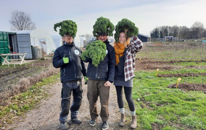 Plantjesmarkt Tuinderij Land in Zicht Amersfoort