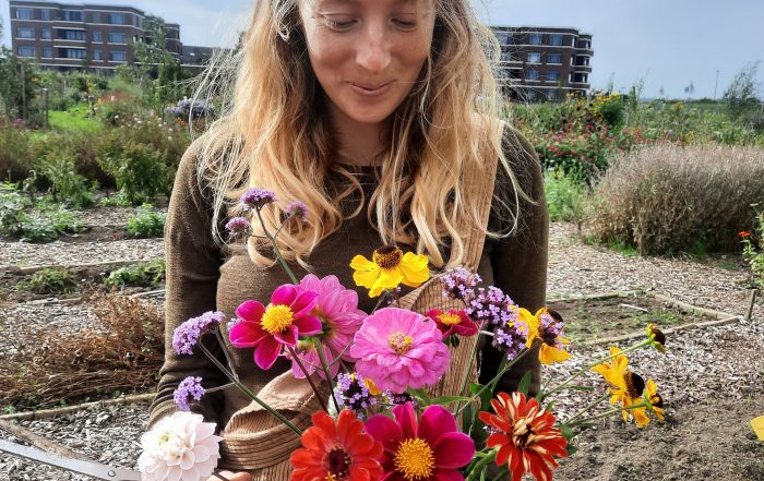 Prachtige kleuren uit onze eigen bloemenpluktuin in Amersfoort Vathorst.