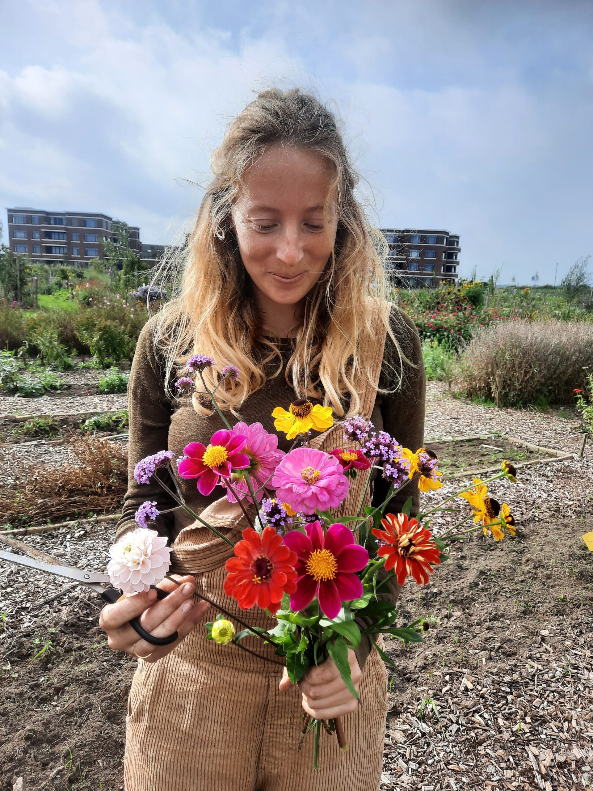 Prachtige kleuren uit onze eigen bloemenpluktuin in Amersfoort Vathorst.