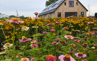 Vacature: Flexibele Begeleider (0-uren) bij Land in Zicht Breed inzetbaar | Snel schakelen | Zorgachtergrond vereist Ben jij iemand die makkelijk inspringt, snel schakelt en energie krijgt van afwisseling? Bij Land in Zicht zijn we op zoek naar een enthousiaste begeleider met een zorgachtergrond die flexibel kan bijspringen tijdens de zomerperiode en daarna beschikbaar is voor invalwerk. Iemand met een zorghart én een praktische instelling, die van aanpakken weet en zich moeiteloos aanpast aan de dynamiek van de dag.