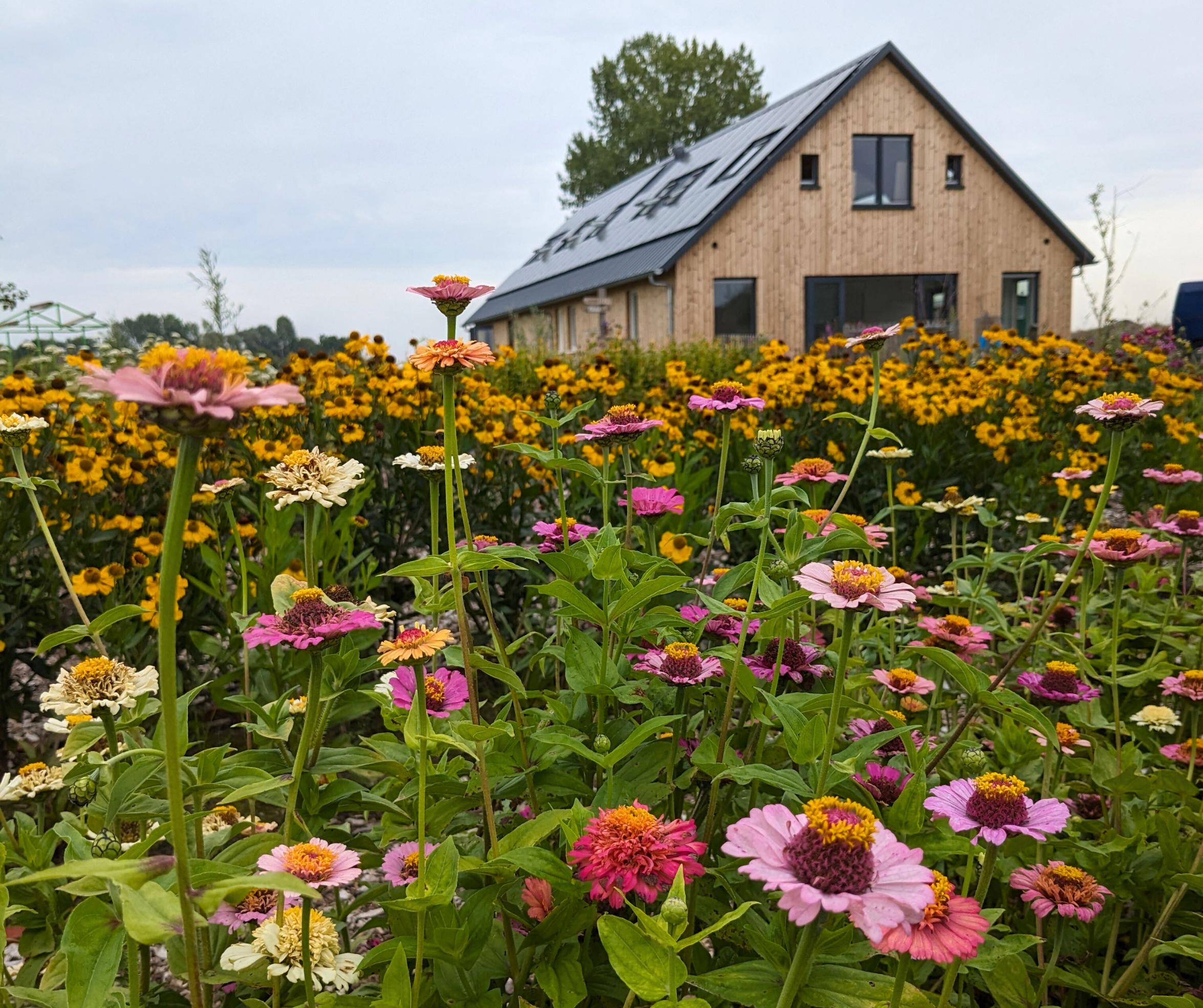 Hoeve met bloemen Vacature: Flexibele Begeleider (0-uren) bij Land in Zicht Breed inzetbaar | Snel schakelen | Zorgachtergrond vereist Ben jij iemand die makkelijk inspringt, snel schakelt en energie krijgt van afwisseling? Bij Land in Zicht zijn we op zoek naar een enthousiaste begeleider met een zorgachtergrond die flexibel kan bijspringen tijdens de zomerperiode en daarna beschikbaar is voor invalwerk. Iemand met een zorghart én een praktische instelling, die van aanpakken weet en zich moeiteloos aanpast aan de dynamiek van de dag.