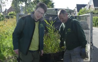 Onderhoud: orchideeën verplanten in opdracht van de gemeente Amersfoort in samenwerking met een ecoloog