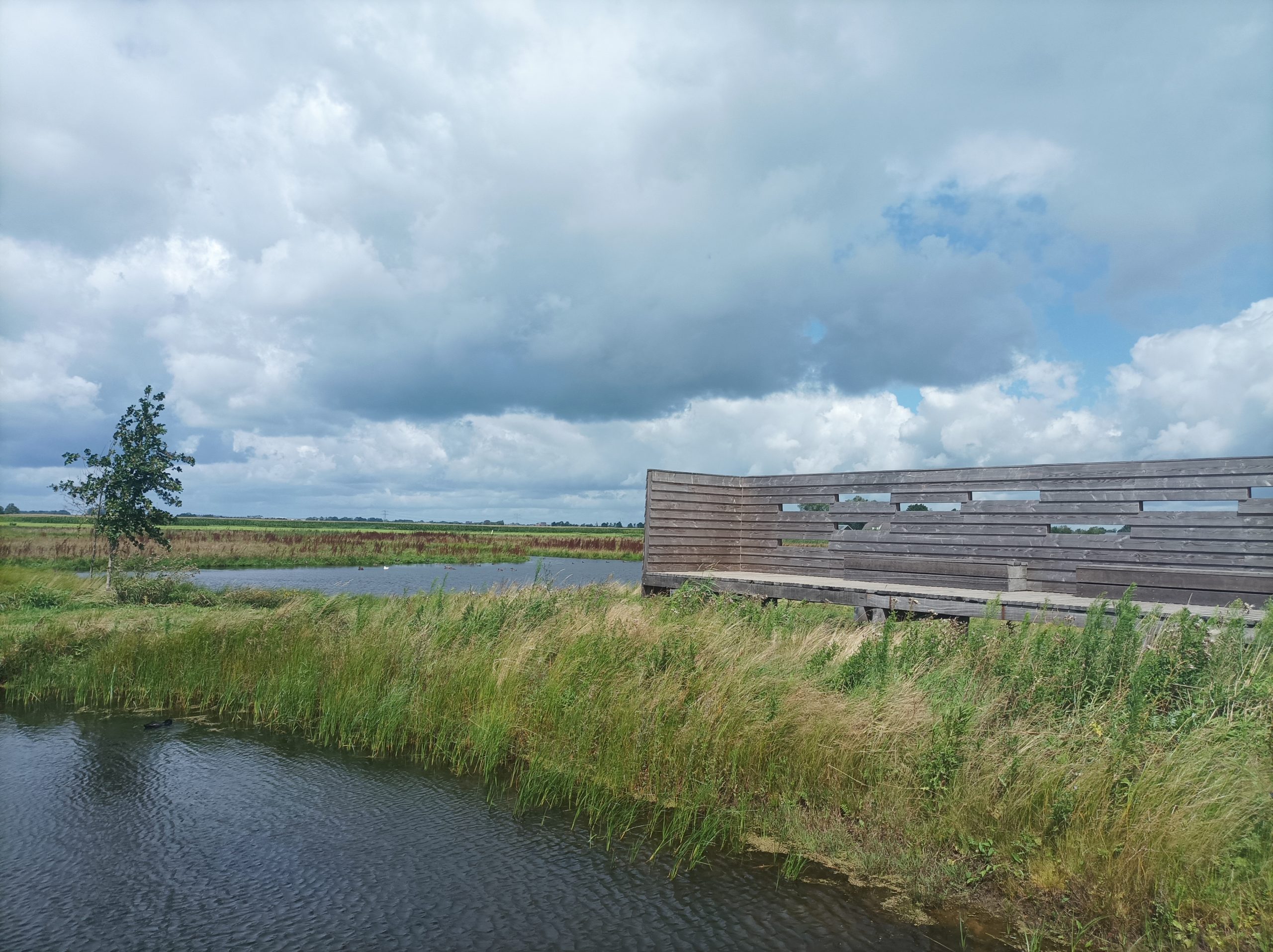 Onderhoud: Natuurgebied Waterrijk