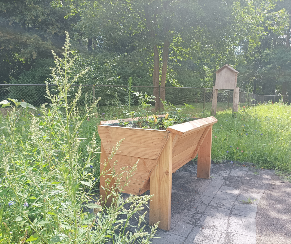 Houtproducten: egelhuis, insectenhotel, vogelhuisje, tapasplank, overkapping, pergola, moestuinbak, onderzetters
