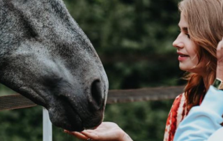 Communiceer met je eigen paard. Een evenement van Xem om meer af te gaan op je intuïtie.