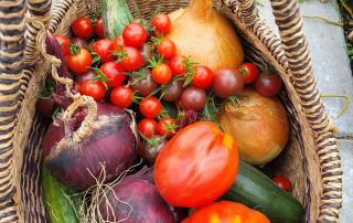 Is het voor jou een feest om met dagverse producten in de keuken te staan vanuit onze tuinderij en te werken met lokale leveranciers? Streef je ernaar om onze gasten van de lekkerste gerechten te voorzien met behulp van onze bijzondere medewerkers? Word dan zelfstandig werkend kok bij Land in Zicht!