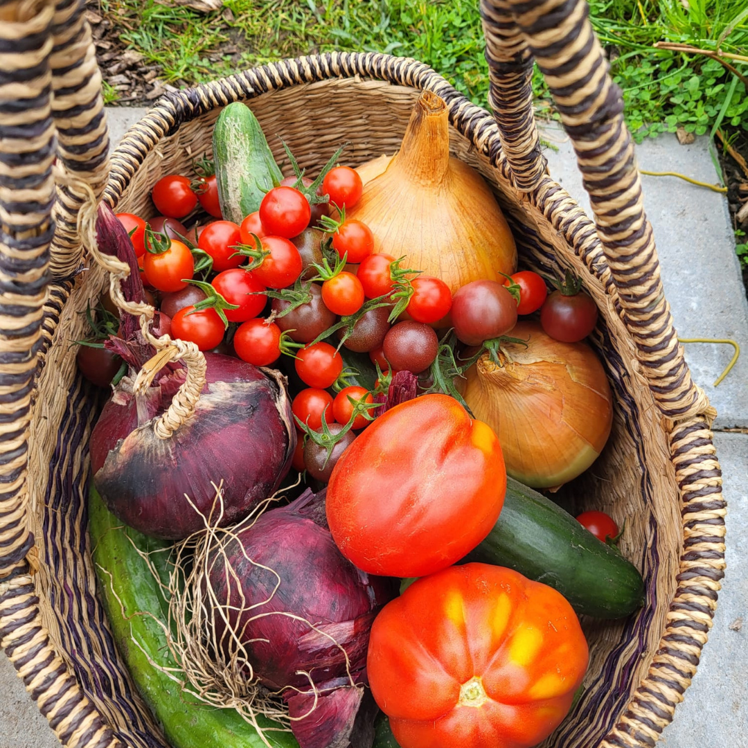 Groente uit eigen tuin Is het voor jou een feest om met dagverse producten in de keuken te staan vanuit onze tuinderij en te werken met lokale leveranciers? Streef je ernaar om onze gasten van de lekkerste gerechten te voorzien met behulp van onze bijzondere medewerkers? Word dan zelfstandig werkend kok bij Land in Zicht!