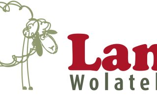 Onze deelnemers hebben vandaag een workshop on leiding van Bianca van Lana Wolatelier om samen een wandkleed te maken. Lana Wolatelier organiseert workshops op het gebied van vilten, met als specialiteit Vachtvilten.