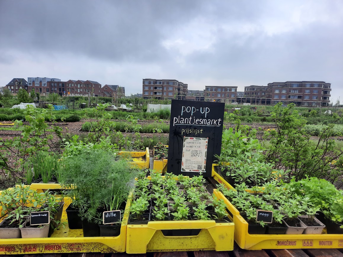 Plantjesdag op de Tuinderij van Land in Zicht