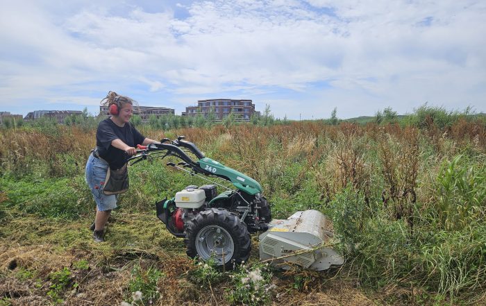 Student werkt mee op een de biodynamische Tuinderij van Land in Zicht tijdens een stage van Warmonderhof (Aeres MBO), omringd door groene velden, vers geoogste groenten en kleinfruit.