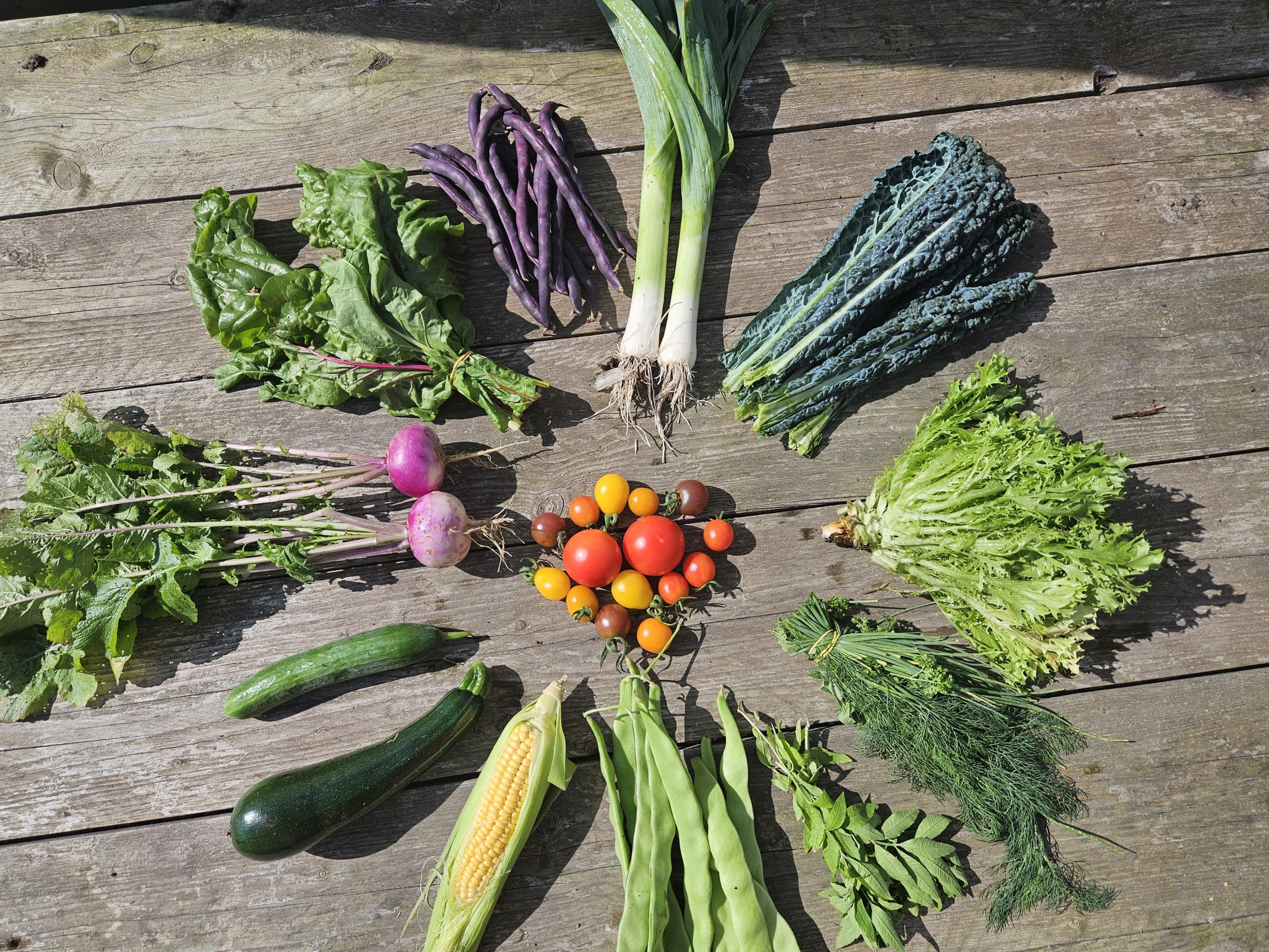 Oogst van de week Oogst van de week - Geniet van wekelijkse oogst van zo’n vijftig soorten biologische groenten, van frisse raapstelen en rabarber in het voorjaar tot pompoenen en boerenkool in de herfst. Inclusief wekelijkse oogstmail met tips en recepten.