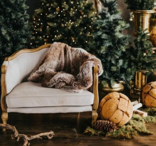 Mano Fotografie uit Vathorst organiseert dit jaar een speciale kerstfotoshoot in de woonkamer van Land in Zicht. Met haar oog voor detail en warme, uitnodigende stijl creëert Marloes een gezellige setting waarin families, koppels en kinderen prachtig op de foto worden gezet. De woonkamer van Land in Zicht, met de rustige inrichting en natuurlijke lichtinval, biedt de perfecte achtergrond voor een warme en feestelijke sfeer.