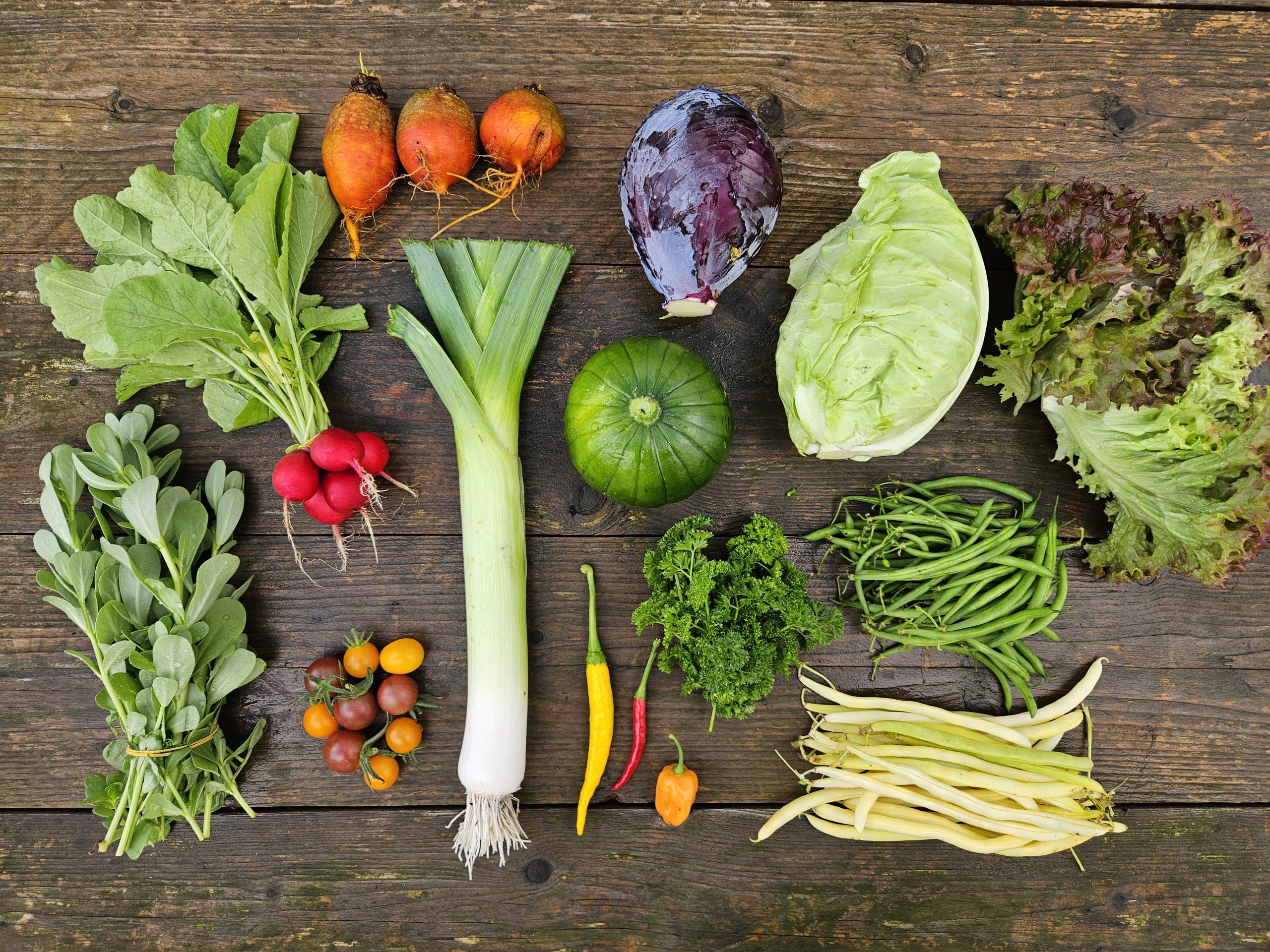Tafel voor oogst uit de Tuinderij Land in Zicht oogst