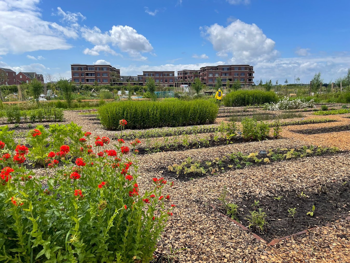 Tuinderij bloemenpluktuin Vacature tuinder - tuinderij land in zicht