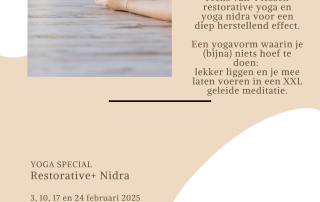 Kom tot rust met Restorative Yoga en Yoga Nidra in februari 2025. Ontspanning en herstel tijdens vier speciale lessen in Vathorst, Amersfoort. Meld je nu aan!
