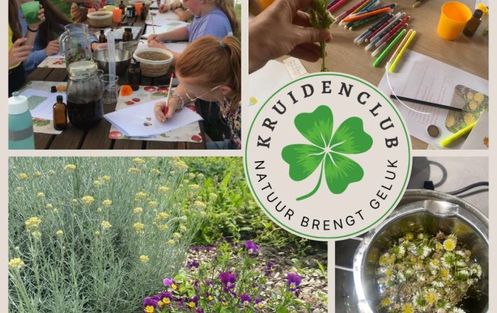 Vanaf maandag 20 januari 2025 start de Kruidenclub voor kinderen, een wekelijkse activiteit vol speelse en leerzame momenten in de natuurschuur en kruidentuin van Land in Zicht onder leiding van Cura di Flora. Hier ontdekken kinderen alles over kruiden en de natuur!