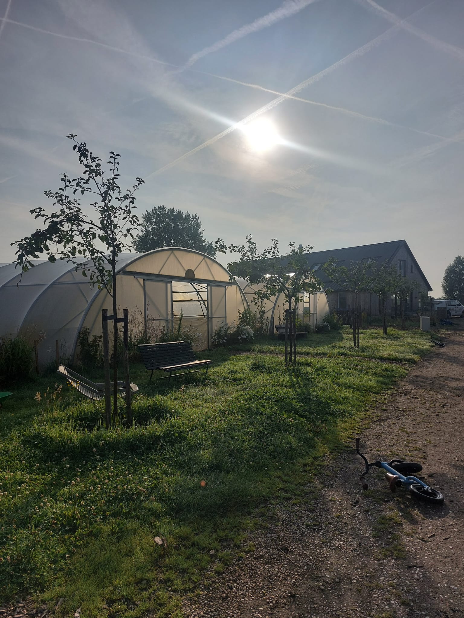 Tuinderij kas zomer Binnenste Buitentv is voor ons een geweldige partner. Als platform dat de focus legt op duurzaamheid, groenere levensstijl en natuurverbondenheid, sluit hun missie naadloos aan bij de kernwaarden van Land in Zicht. Wij geloven in de kracht van samen werken aan een duurzamere en inclusievere toekomst. Kom langs voor workshops en rondleidingen in de natuur.