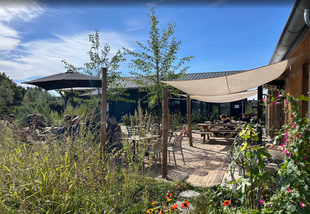 Theehuis amersfoort land in zicht terras in bloei Bijbaan bediening horeca amersfoort bij Land in Zicht, groene plek met terras. Heerlijk genieten van huisgemaakte gerechten.