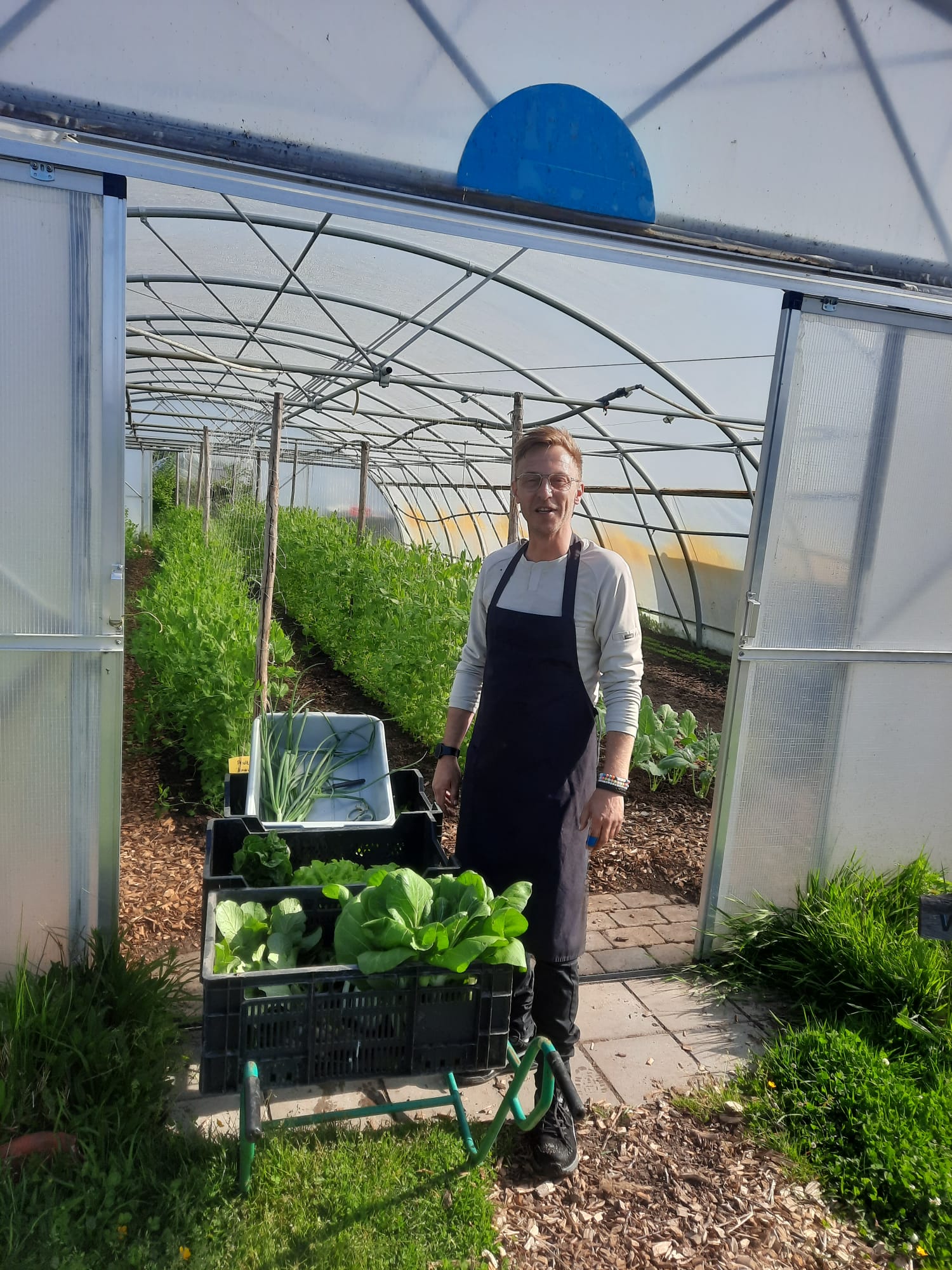 Mart van Heiningen kas tuinderij theehuis kok Mart oogst zijn verse groente voor het Theehuis zelf uit de Tuinderij. Lokaal en duurzaam voor een biologische lunch.