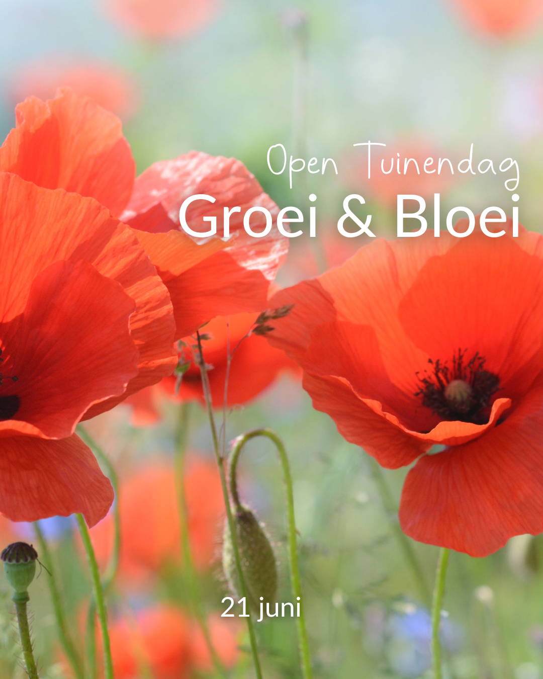 Groei en Bloei open tuinendag, Land in Zicht doet mee in de route.