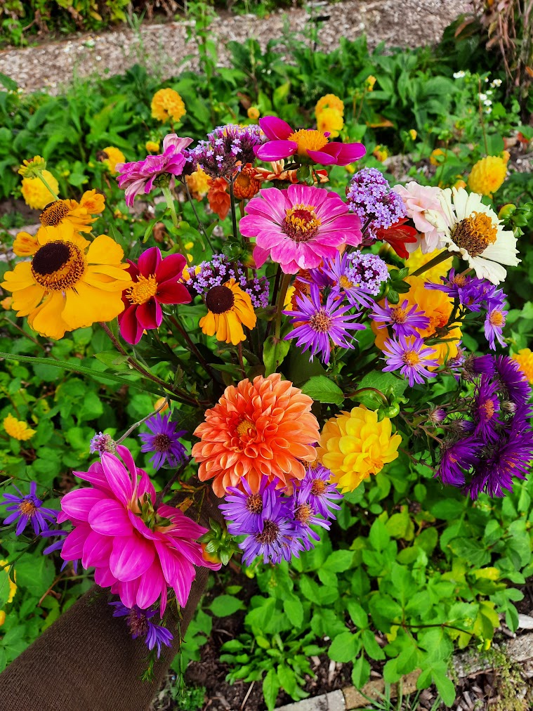 Bloemen plukken kinderactiviteit Tuinderij Amersfoort