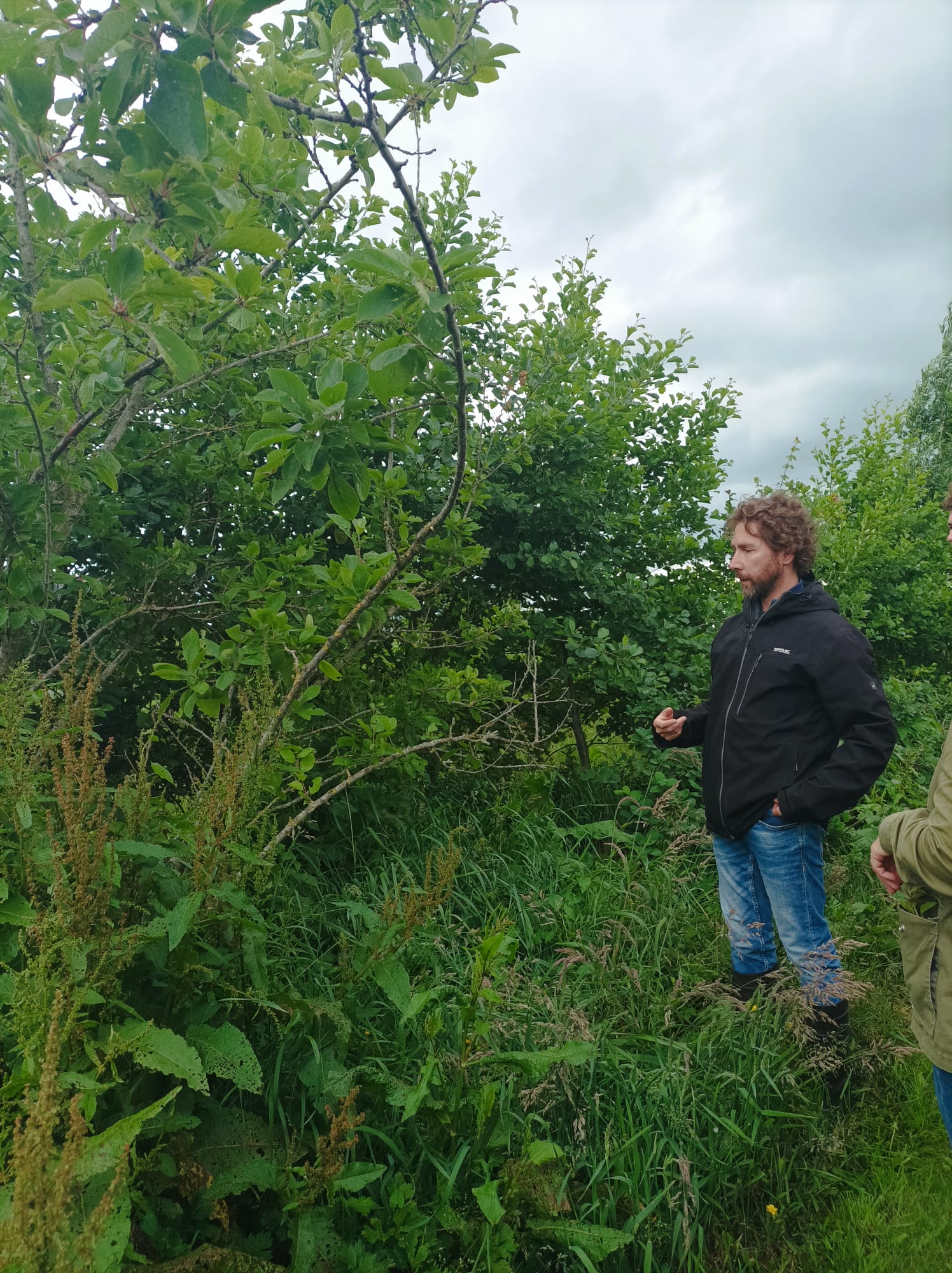 Erik Verhallen Tuinpark Laakzijde Erik Verhallen, voorzitter Tuinpark Laakzijde in Amersfoort Vathorst. Verbinder van landschap, natuur en mensen