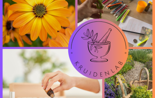 Maak je eigen goudsbloemzalf! Oogst goudsbloemen, leer over de werking & ga creatief aan de slag. Een middag vol natuur & verzorging met Cura di Flora en het Kruidenlab.