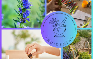 Een stoere kruidenmiddag! Duik in de wereld van hyssop: oogst, leer en maak zelf massageolie en spierbalsem. Perfect voor nieuwsgierige kinderen met het Kruidenlab op Tuinpark Laakzijde.