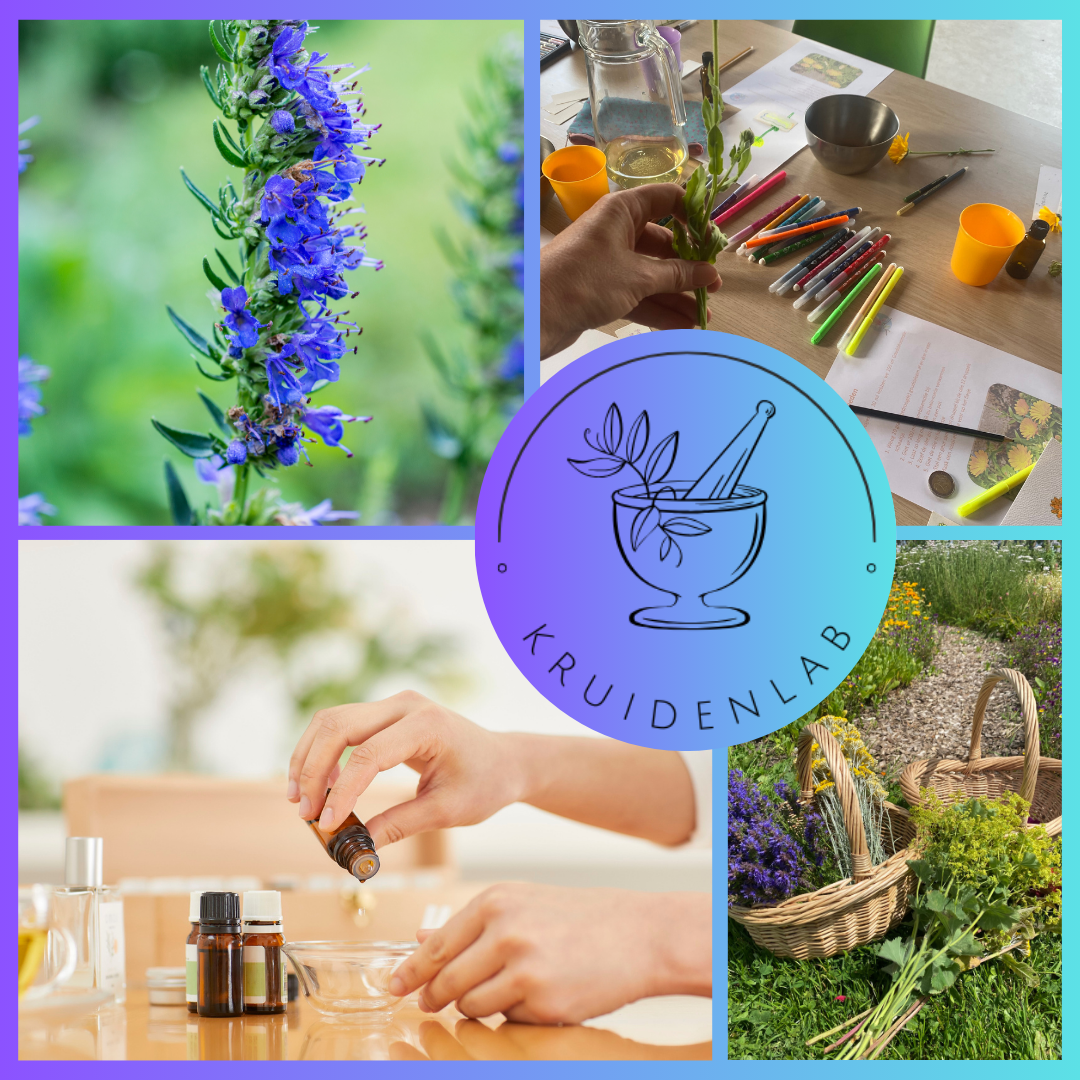 Een stoere kruidenmiddag! Duik in de wereld van hyssop: oogst, leer en maak zelf massageolie en spierbalsem. Perfect voor nieuwsgierige kinderen met het Kruidenlab op Tuinpark Laakzijde.