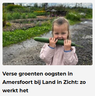 Kom bij Land in Zicht in Amersfoort Vathorst je eigen groente oogsten en neem een tas vol verse groente mee naar huis.