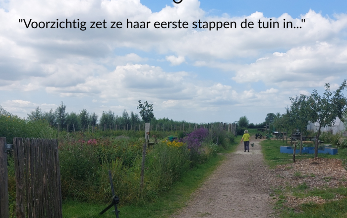 Bezoek Tuinderij Land in Zicht in Amersfoort Vathorst. Verse groenten en bloemen van het land.