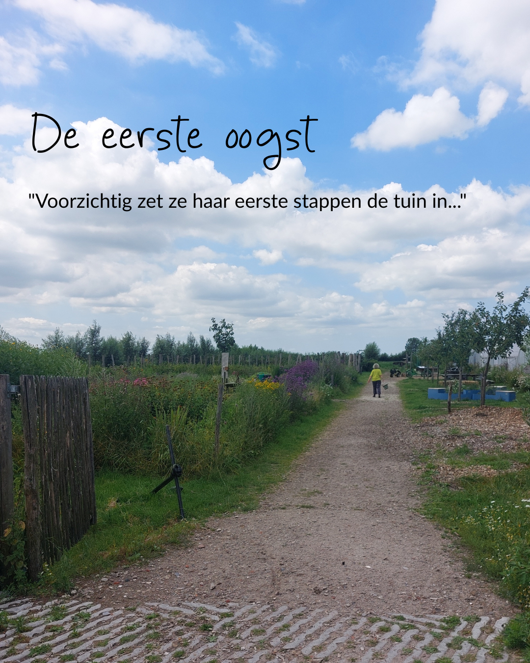 Oogsten op de Tuinderij Land in Zicht Bezoek Tuinderij Land in Zicht in Amersfoort Vathorst. Verse groenten en bloemen van het land.
