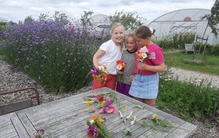 Pluk een kleurrijk kinderboeket in de bloemenpluktuin voor maar €2,50 (op vertoon van je ZomerPretPas) Gezellig met vrienden en vriendinnen buiten zijn.