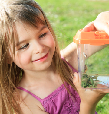 Zomerpretpas insecten bekijken Tuinderij kidsproof activiteit Bekijk kriebelbeestjes van héél dichtbij met onze insectenpotjes Met de ZomerPretPas op zak kun je bij Land in Zicht in Vathorst van alles beleven — midden in het groen, tussen bloemen, beestjes en planten.