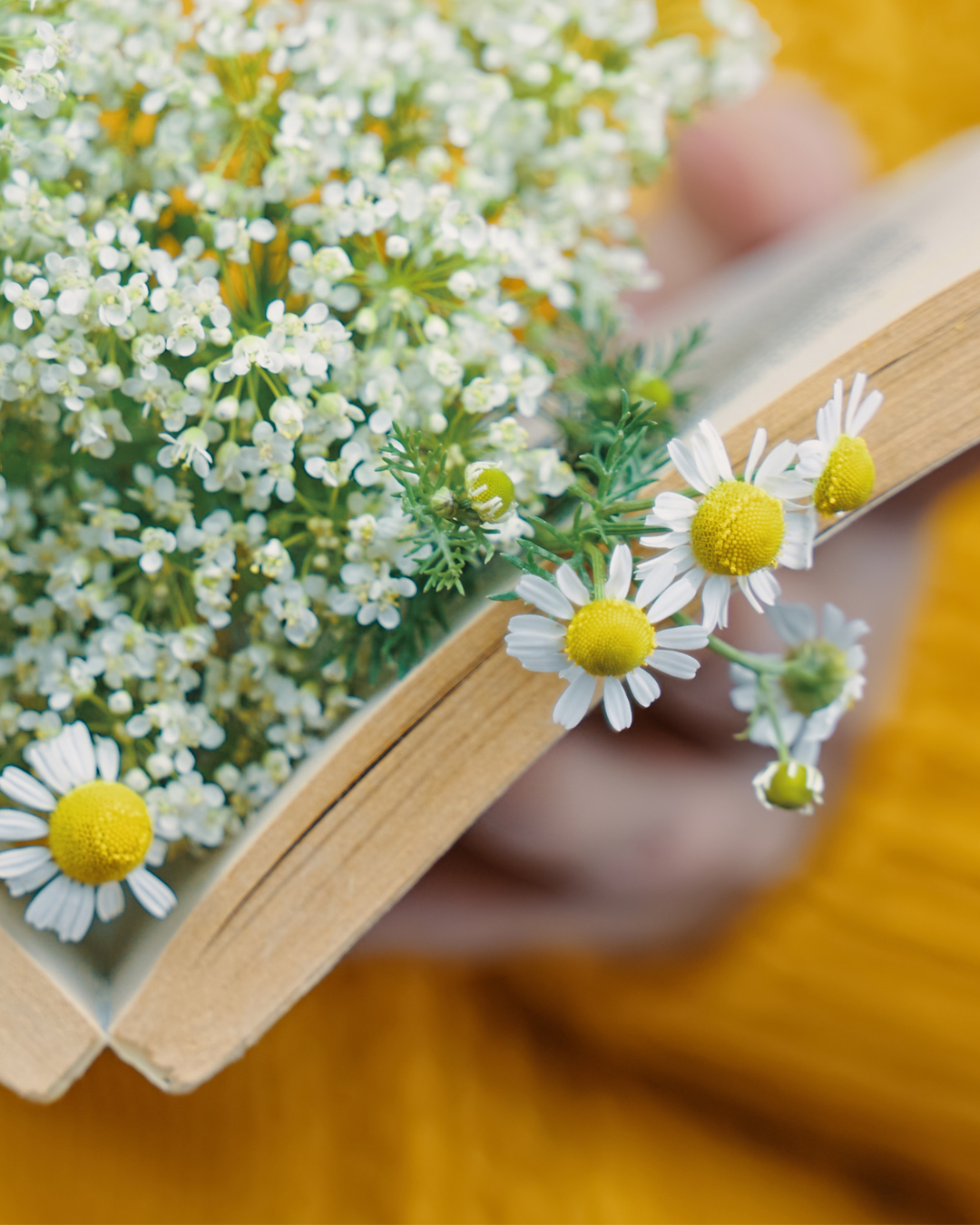 Land in Zicht is dé groene ontmoetingsplek in Amersfoort Vathorst: bloemen plukken, groenten oogsten én genieten in ons gezellige theehuis. Lees de nieuwste publicaties en ontdek onze duurzame plek waar mens en aarde samenkomen.