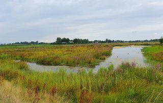 Waterrijk natuurgebied Vathorst, Over de Laak