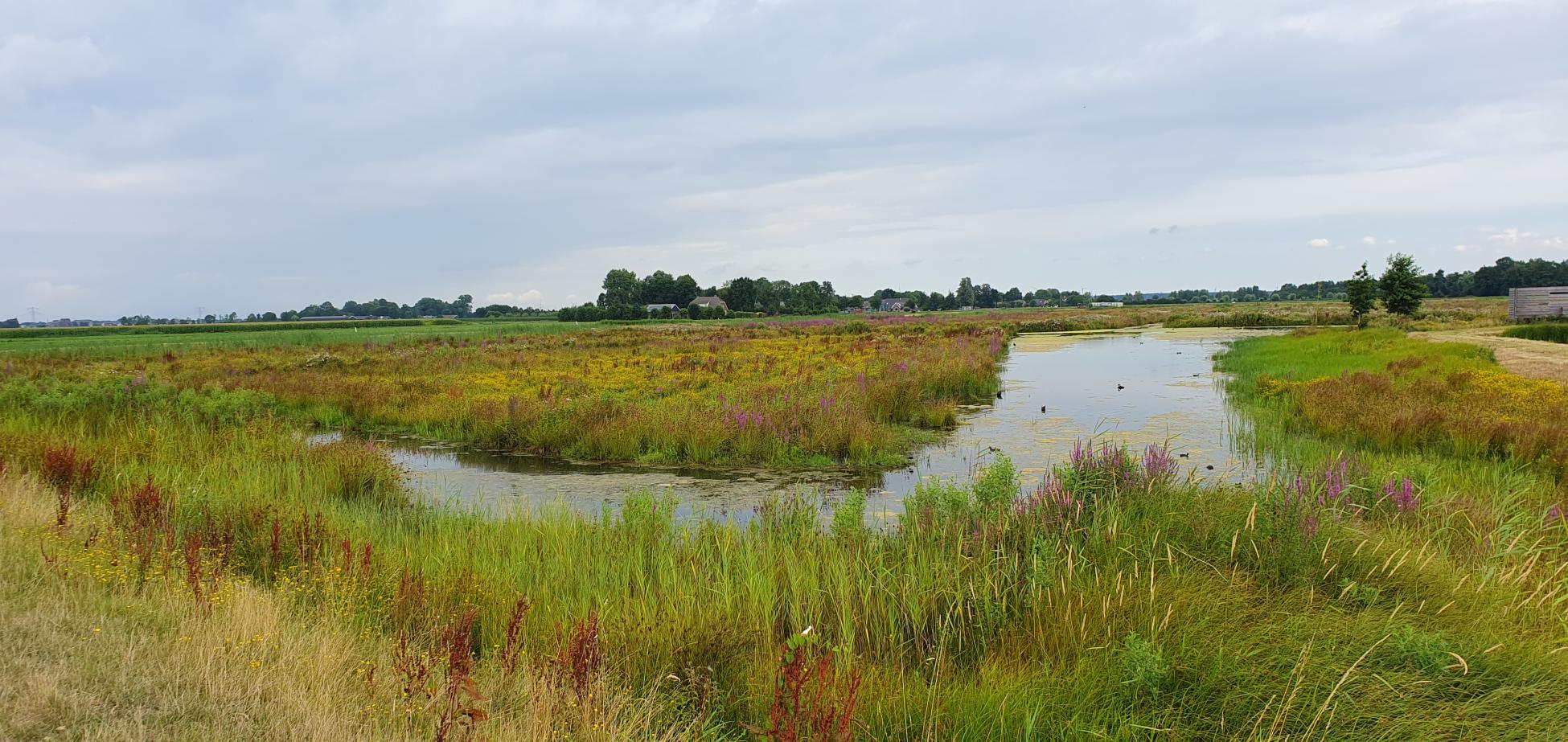 Waterrijk natuurgebied Vathorst, Over de Laak