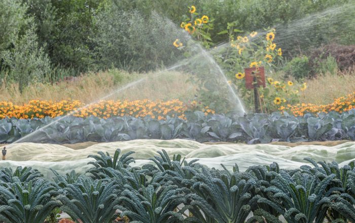 Land in Zicht is onderdeel van de expositie ‘Groene en Blauwe Stad’ in het Rietveldpaviljoen Amersfoort. Een eer die past bij onze missie: zorg, natuur en duurzaamheid in balans.
