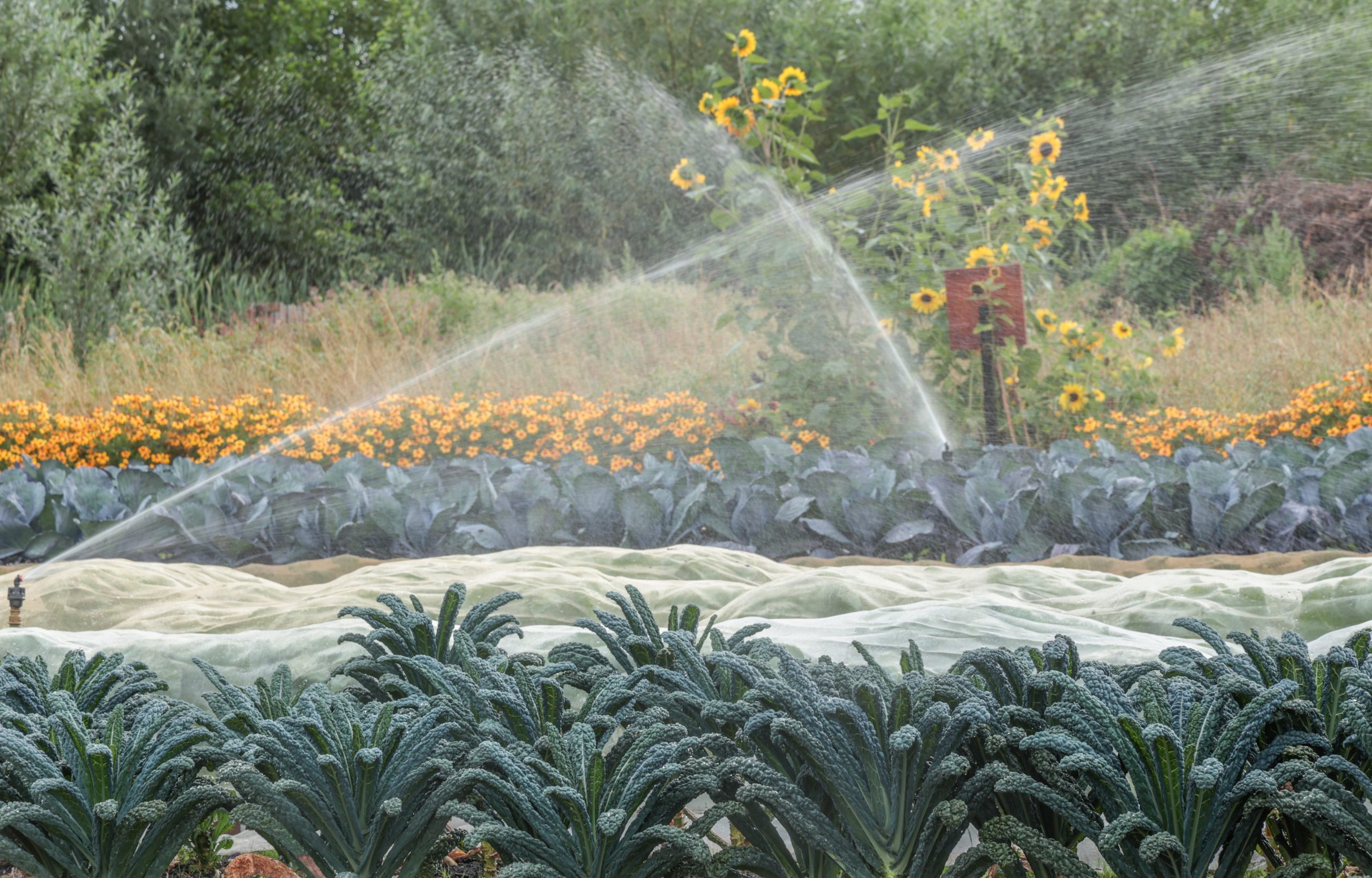 Land in Zicht is onderdeel van de expositie ‘Groene en Blauwe Stad’ in het Rietveldpaviljoen Amersfoort. Een eer die past bij onze missie: zorg, natuur en duurzaamheid in balans.