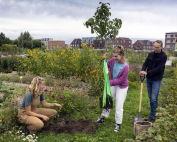 Onze tuinder Nienke draagt bij aan Plan Boom – een initiatief dat miljoenen bomen plantte in Nederland. Zo werken we samen aan een groener, gezonder landschap.