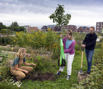 Plan Boom tuinder Nienke Boone van Land in Zicht Onze tuinder Nienke draagt bij aan Plan Boom – een initiatief dat miljoenen bomen plantte in Nederland. Zo werken we samen aan een groener, gezonder landschap.